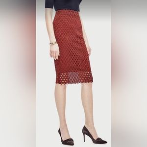 ANN TAYLOR Tulip Lace Pencil Skirt, Size 6